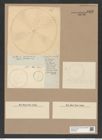 Podosira ambigua Grun. (de-Toni-Nr.: Genus 217, Species 5475) Zeichnungen Sammlung Grunow Nr. 9402 (NHMW-BOT-W0379242)